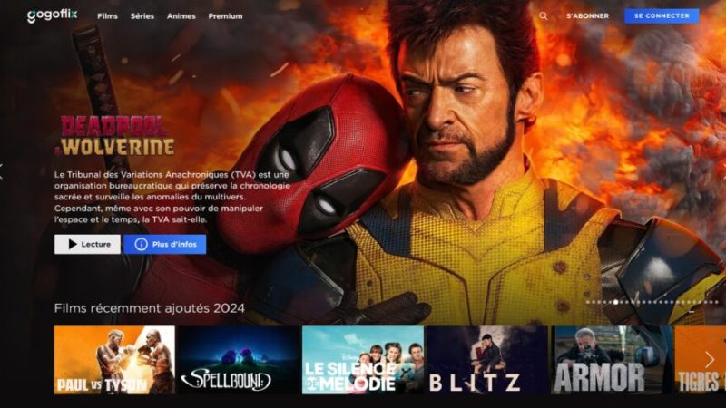 Cocostream, StreamSerie, Gogoflix : la chasse aux sites pirates fait de nouvelles victimes