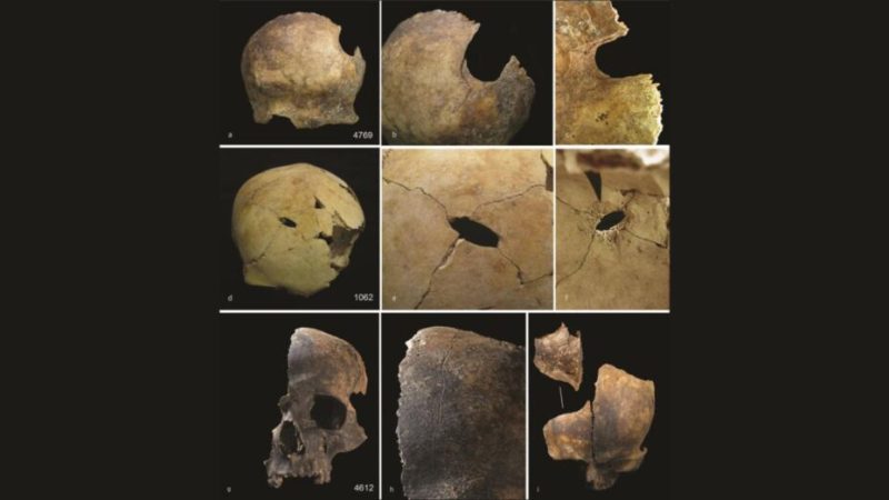 Un massacre à la préhistoire : des fouilles révèlent un « cycle de la violence » chez les humains