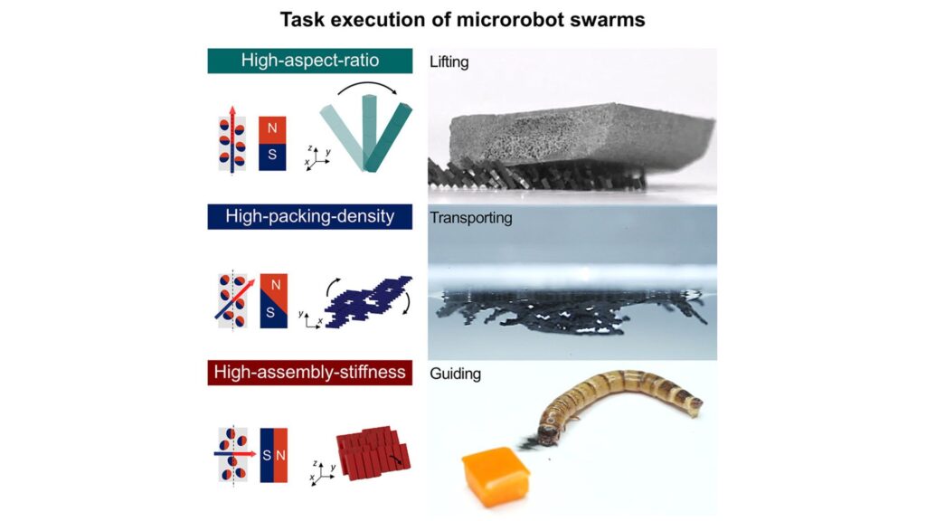 Exécution de tâche par des essaims de micro-robots // Source : Article Cell Press Device : « Intelligence par essaim magnétique d'assemblages de microrobots programmables produits en série pour une exécution de tâches polyvalente »