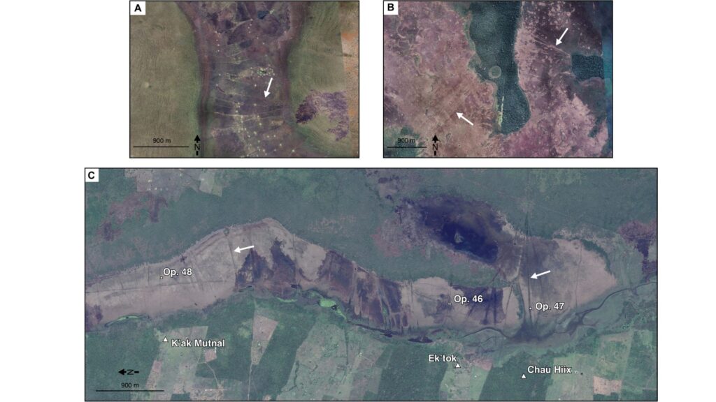 Paysages de plaines inondables saisonniers avec des dévers de poissons en terre qui ressemblent à ceux du CTWS. L'imagerie satellite comprend (A) une pêche contemporaine en Zambie, en Afrique ; (B) une ancienne pêche en Amazonie bolivienne ; et (C) l'ancienne pêche dans la lagune de l'Ouest, CTWS, Belize (toutes les images avec l'aimable autorisation de Google Earth). // Source : Etude initiale parue dans Science Advance