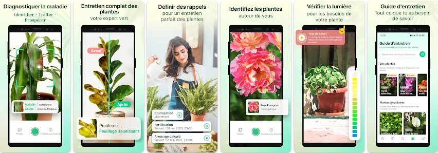 Plant Parent - Guide entretien // Source : Glority Global Group Ltd.