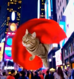 Un chat super-héros généré par Sora. // Source : Numerama, avec Sora