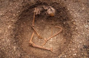 Inhumation d’un individu assis, détail de l’affaissement du haut du corps. // Source : Christophe Fouquin, Inrap