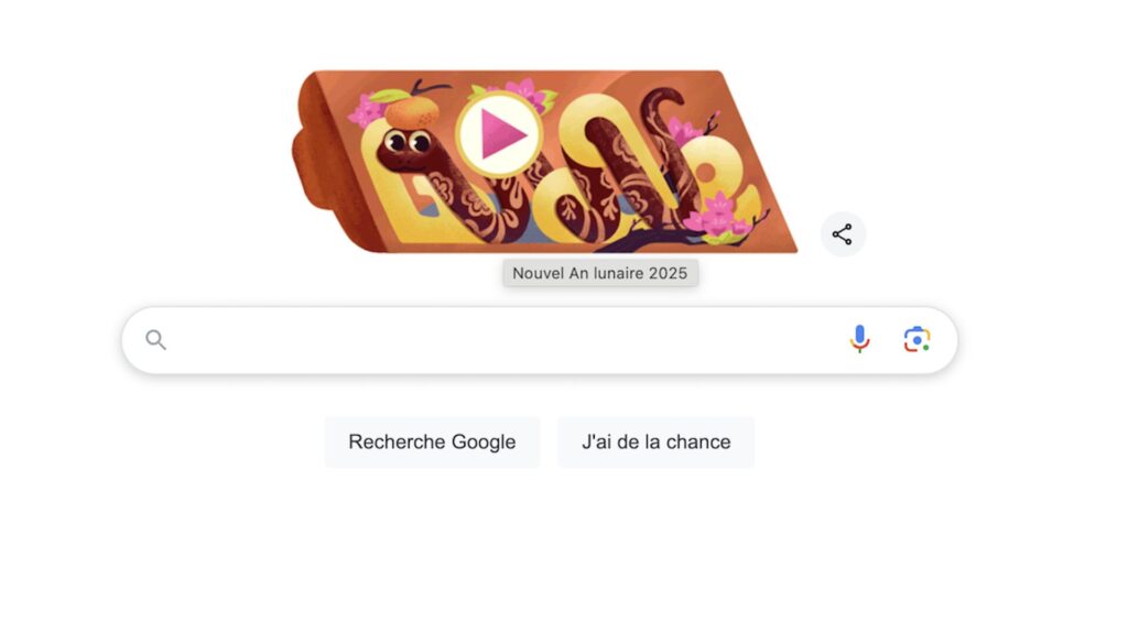 Google Doodle du 29 janvier 2025 // Source : Capture d'écran