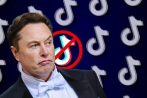 Elon Musk sauveur de TikTok ? // Source : montage Numerama