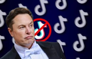 Elon Musk sauveur de TikTok ? // Source : montage Numerama