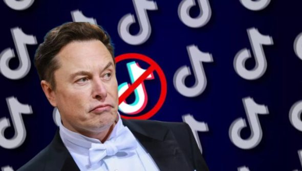 Elon Musk sauveur de TikTok ? // Source : montage Numerama