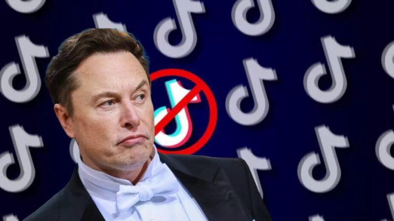 Elon Musk va-t-il racheter TikTok ?