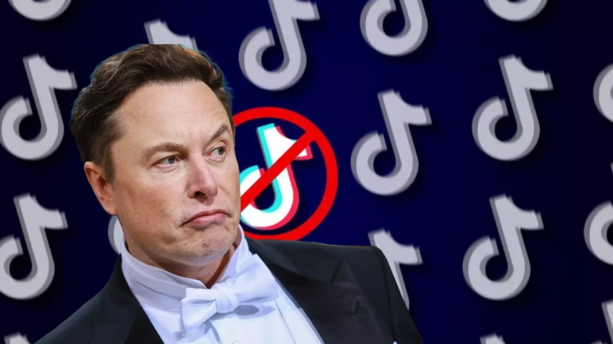 Elon Musk sauveur de TikTok ? // Source : montage Numerama