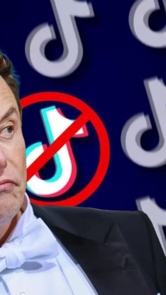 Elon Musk sauveur de TikTok ? // Source : montage Numerama