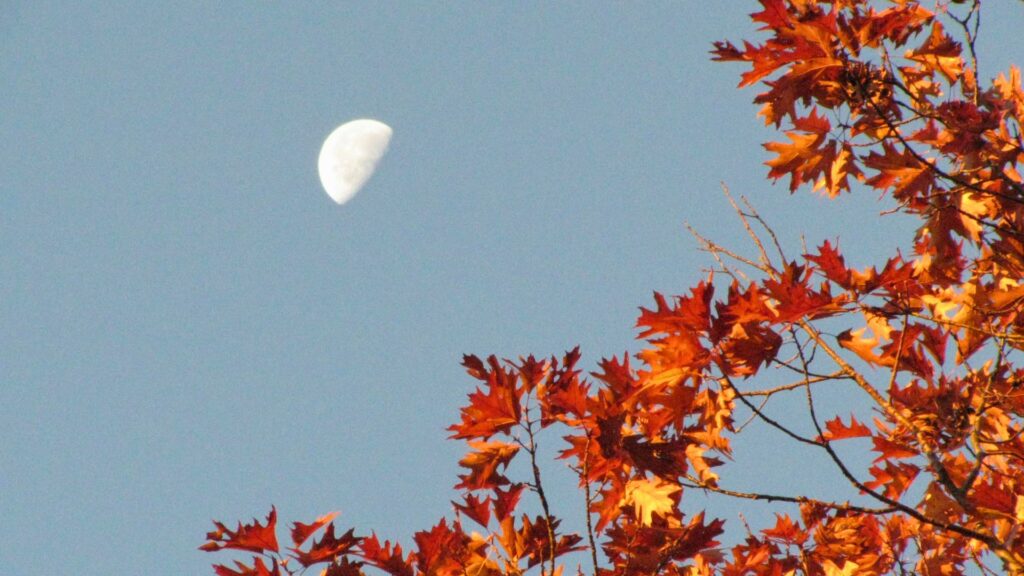 La Lune. // Source : Canva