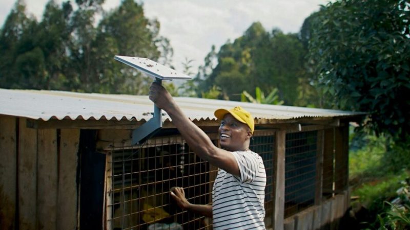 Catastrophe à Mayotte : Starlink a fait une petite fleur à la France