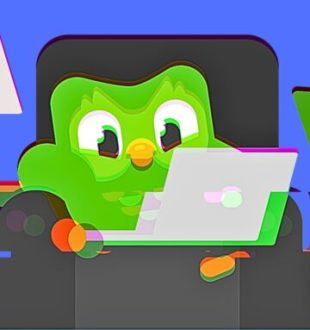La chouette de Duolingo est détournée par des hackers. // Source : Duolingo