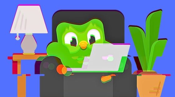 La chouette de Duolingo est détournée par des hackers. // Source : Duolingo