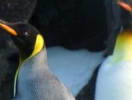 Y aurait-il de l'eau dans le gaz ? // Source : Pexels