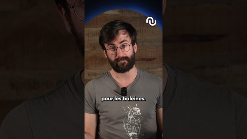 Est-ce qu’une BALEINE peut avaler un HUMAIN ?