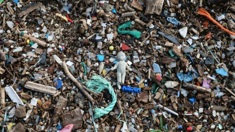 Le microplastique s’accumule dans notre cerveau et ça empire : cette étude donne le tournis