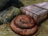 Un caca dans Skyrim // Source : Nexus Mods