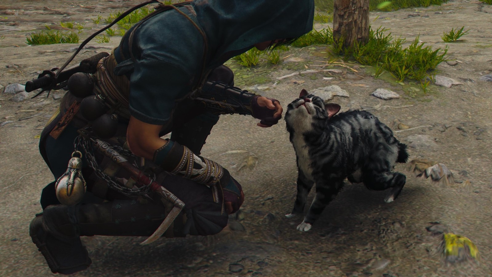 Assassin’s Creed Shadows : pourquoi il faut caresser les chiens et les chats