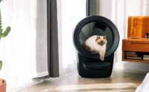 La Whisker Litter-Robot 4. // Source : Whisker