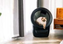 La Whisker Litter-Robot 4. // Source : Whisker