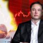 Elon Musk et le cours de bourse Tesla // Source : Création Nino Barbey