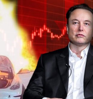 Elon Musk et le cours de bourse Tesla // Source : Création Nino Barbey