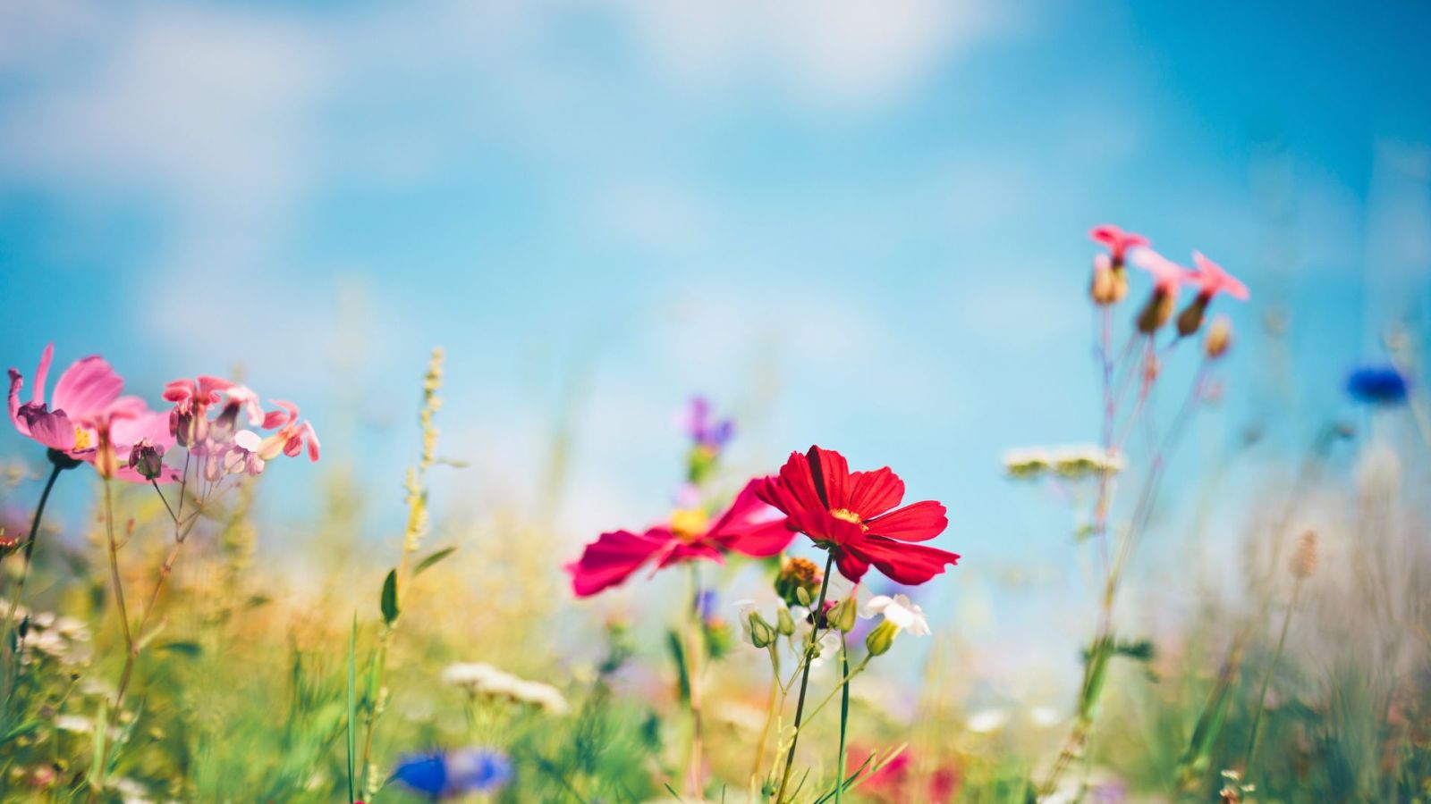 Date du printemps 2026 : pourquoi l’équinoxe a lieu le 20 mars cette année ?