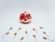 La fertilité masculine est en chute depuis 50 ans // Source : Deon Black via Unsplash