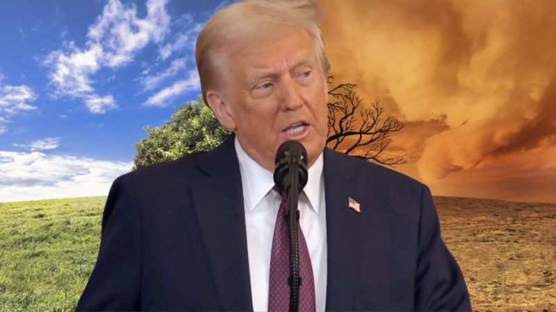 Donald Trump vire encore des scientifiques travaillant sur le climat, la situation empire