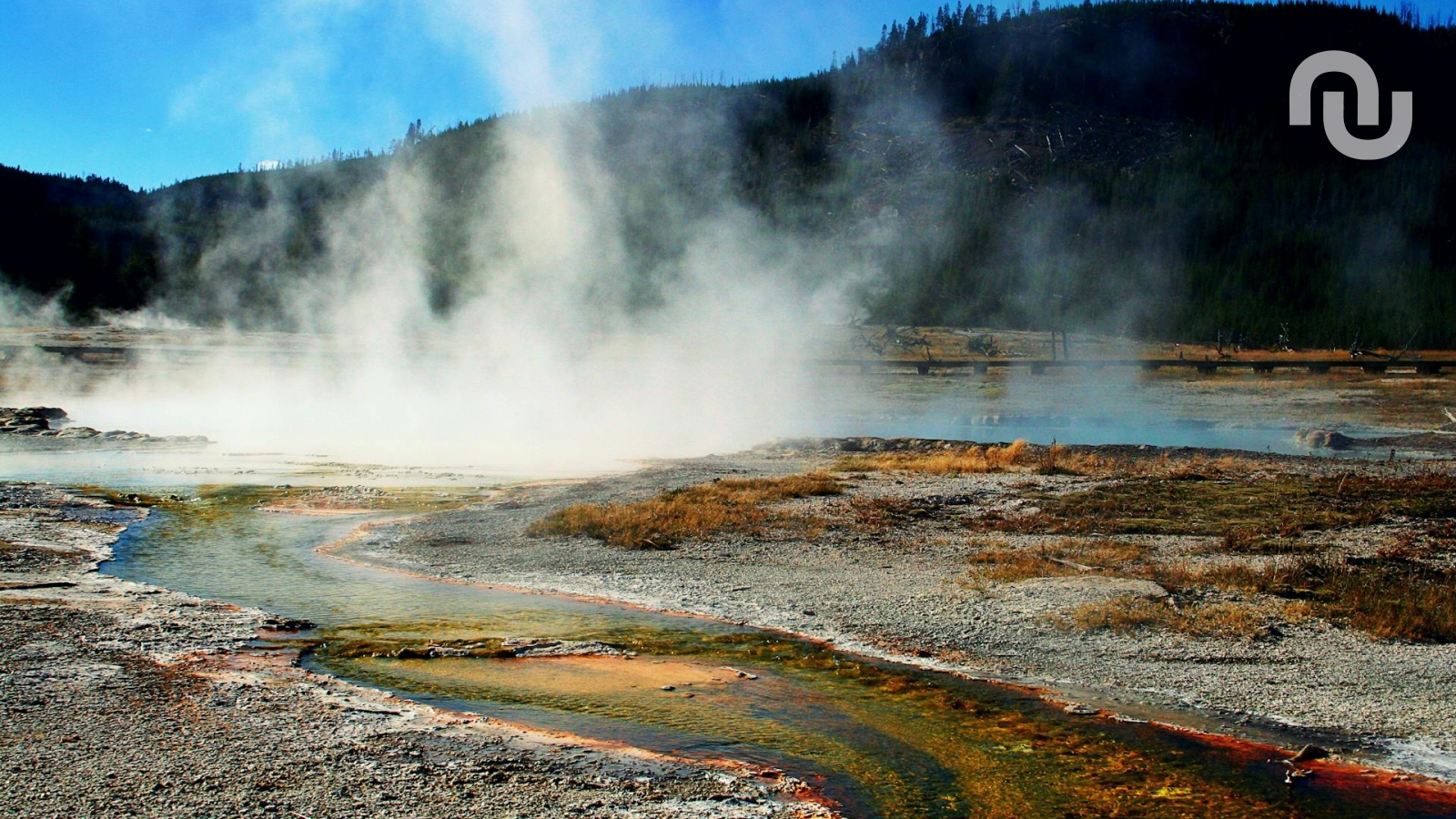 Yellowstone : pourquoi le supervolcan le plus redouté du monde reste endormi