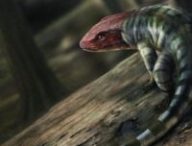 Reconstitution du reptile  // Source : Marcin Ambrozik