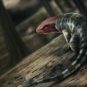 Reconstitution du reptile  // Source : Marcin Ambrozik