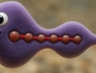 Microoganisme modélisé, représentation artistique // Source : TU Wien