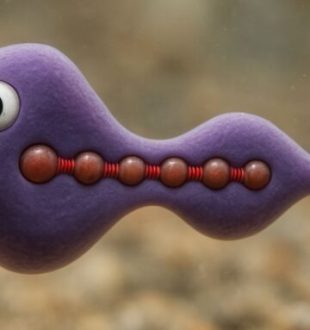 Microoganisme modélisé, représentation artistique // Source : TU Wien