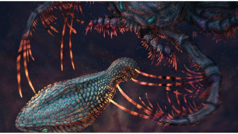 Mal aux dents ? Blâmez ces poissons vieux de 465 millions d’années