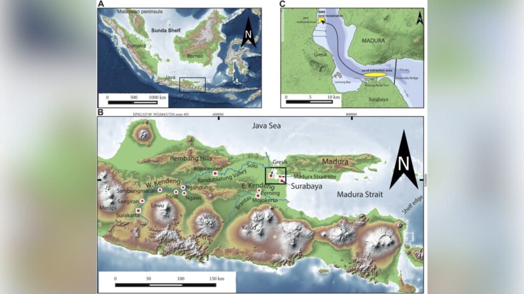 A : Le plateau de la Sunda de l'Asie du Sud-Est, avec l'archipel indonésien. La boîte indique la position de la carte B. 
B : Java oriental, le détroit de Madura, la rivière Solo, Ngandong, Sambungmacan et d'autres sites d'hominin. La boîte indique la position de la carte C. 
C : Le détroit de Madura au nord de Surabaya, avec la zone d'extraction de sable et l'emplacement de la réclamation foncière  // Source : GEBCO et ALOS.