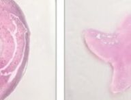 Certaines structures polymères d'hydrogel imprimées avec la technique d'impression sonore in vivo_ Recadrée // Source : Elham Davoodi and Wei Gao