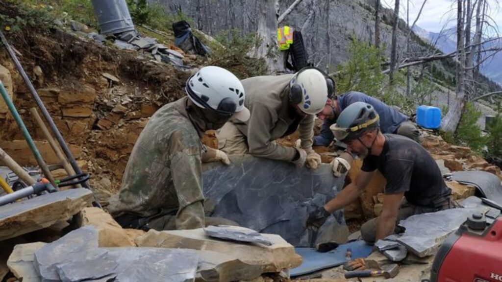 Fendage de dalles de schiste dans la carrière de Burgess Shale près de Marble Canyon en 2022 – Moysiuk et Caron au centre et à droite, respectivement. // Source : Melina Jobbins Fendage de dalles de schiste dans la carrière de Burgess Shale près de Marble Canyon en 2022 – Moysiuk et Caron au centre et à droite, respectivement. // Source : Melina Jobbins