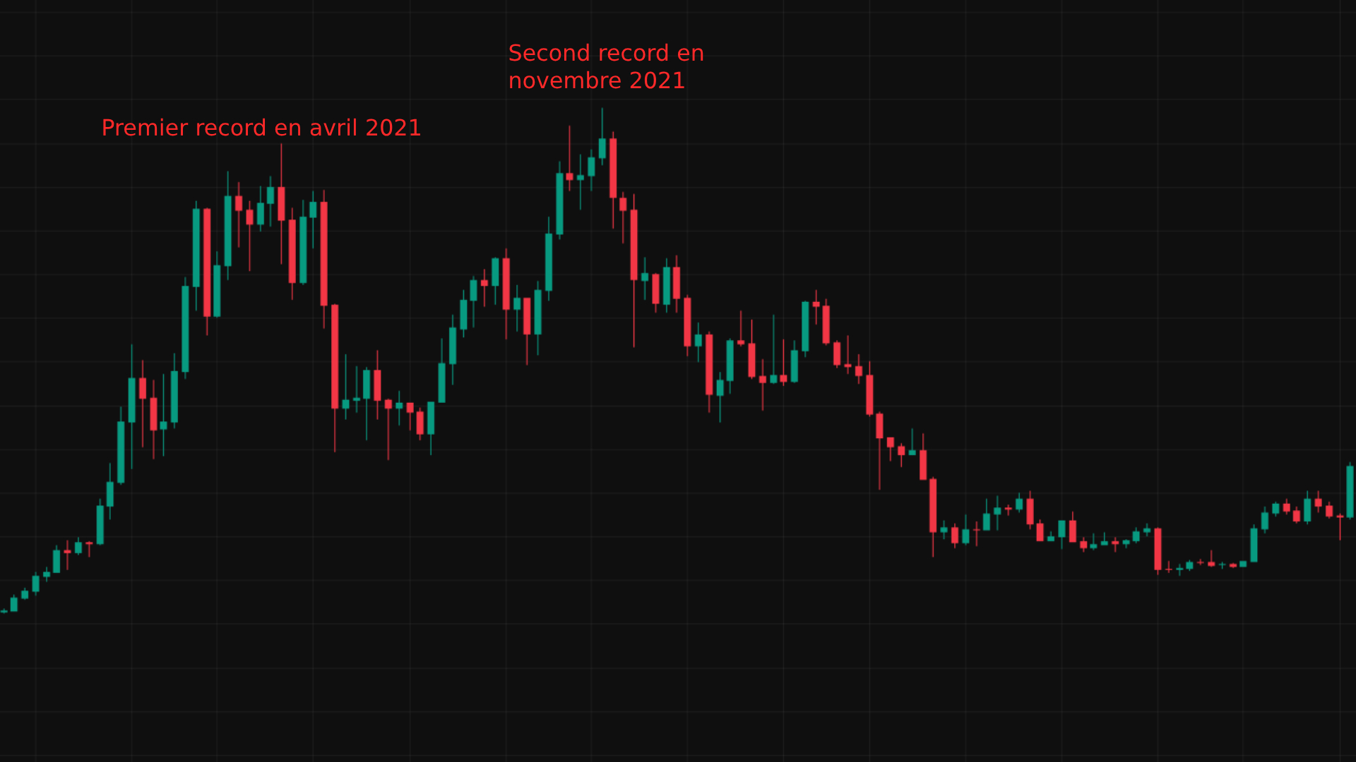Bullrun 2021