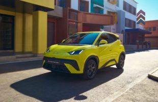 La BYD Dolphin Surf (2025) // Source : BYD