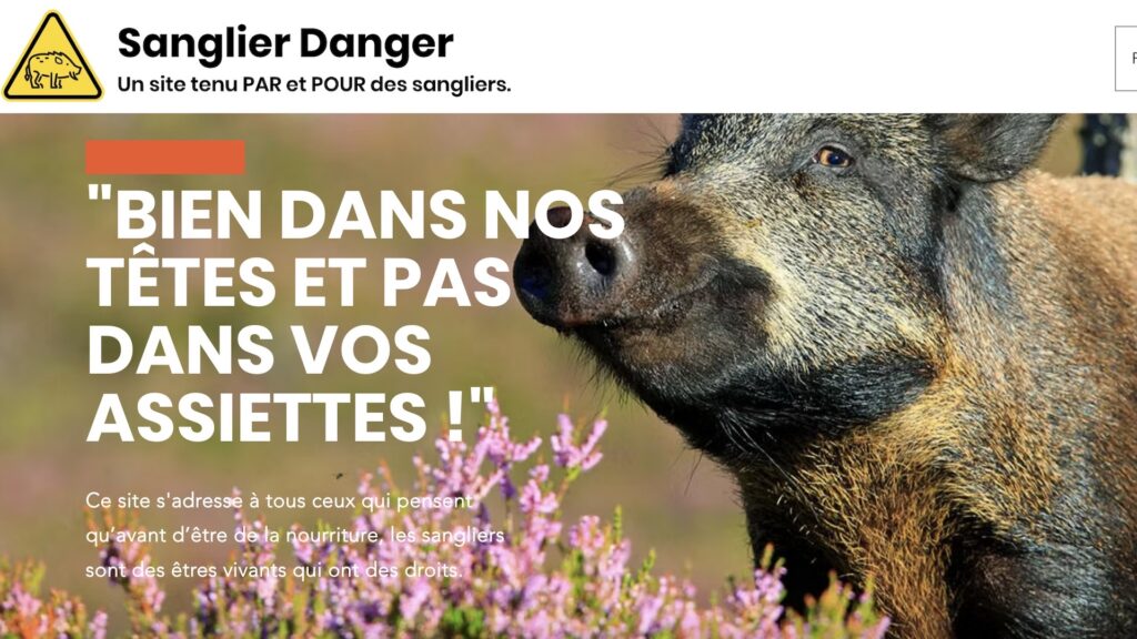 N'est-il pas mignon ? // Source : Sanglier Danger N'est-il pas mignon ? // Source : Sanglier Danger