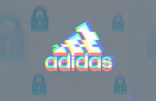 Adidas victime d’une nouvelle fuite de données : quelles informations clients ont été exposées ?
