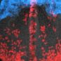 Cerveau de souris avec des cellules marquées par fluorescence // Source : Dr. Ivanovitch et al.