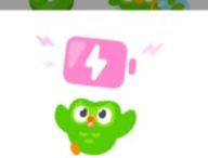 Source : Duolingo