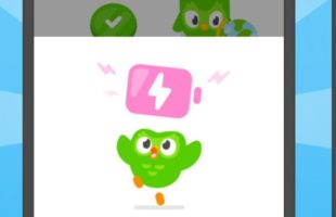 Source : Duolingo
