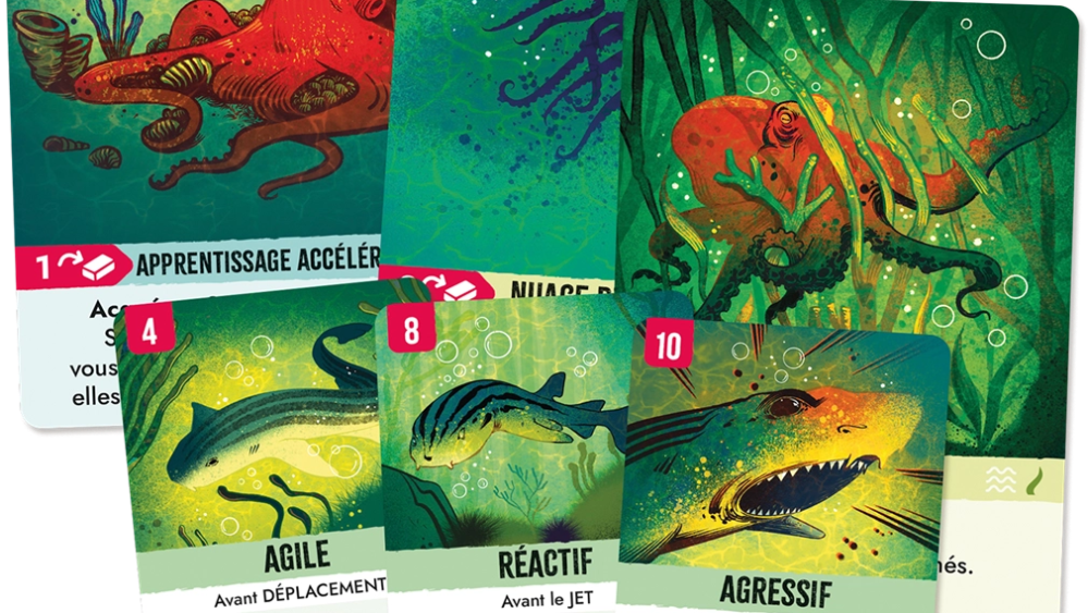 Exemples de cartes. // Source : Wonderbow Games