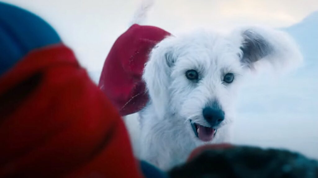 Krypto, le meilleur des chiens // Source : Warner Bros. Krypto, le meilleur des chiens // Source : Warner Bros.