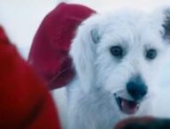 Krypto, le meilleur des chiens // Source : Warner Bros.
