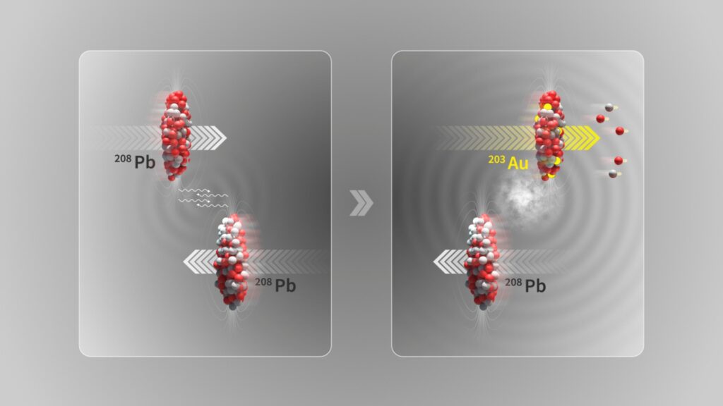 La collision à très haute énergie entre noyaux de plomb éjecte des protons : si 3 protons sont éjectés, de l'or est produit durant une fraction de seconde. // Source : CERN La collision à très haute énergie entre noyaux de plomb éjecte des protons : si 3 protons sont éjectés, de l'or est produit durant une fraction de seconde. // Source : CERN